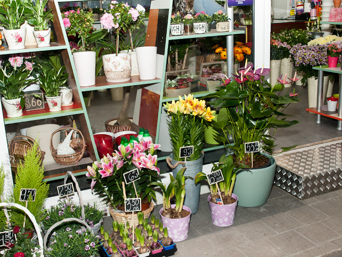 Магазин за цветя - Елеганц 4