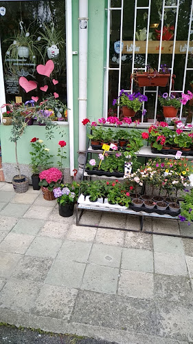 Flower Blumen Shop