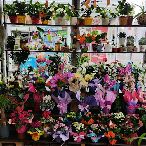 Магазин за цветя и ръчноизработени декорации Kenga handmade and flowers