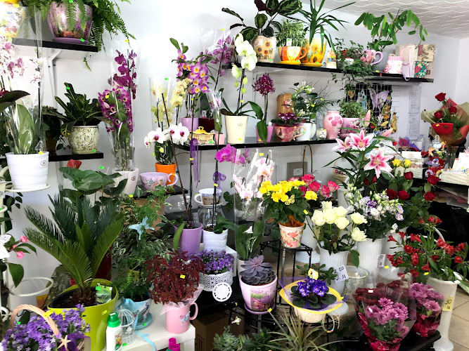 Магазин за цветя и аранжировки “Райска птица”