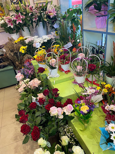 Сватбена агенция и магазин за цветя Краси Стил
